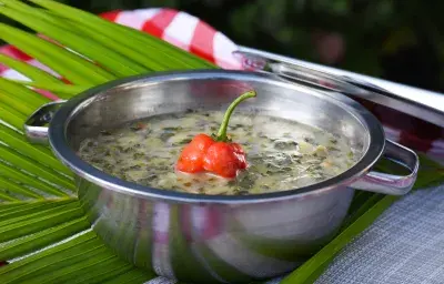 Pepperpot Soup