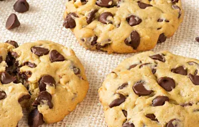 Chocolate Chip Stock