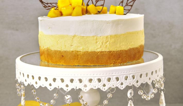 Mango Mousse Cake